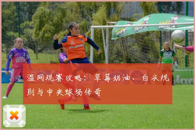 温网观赛攻略：草莓奶油、白衣规则与中央球场传奇