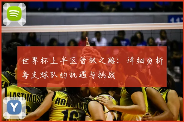 世界杯上半区晋级之路：详细分析每支球队的机遇与挑战